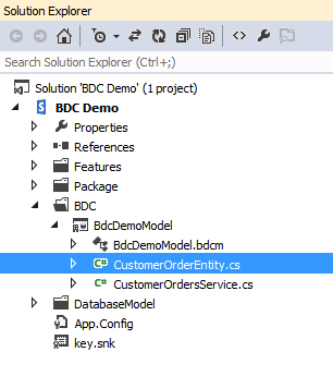 Add Customer Order Entity Class