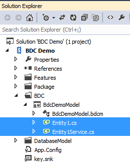 Delete Entity1 Classes